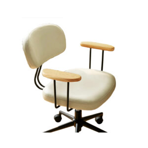 LODZ home office work chair