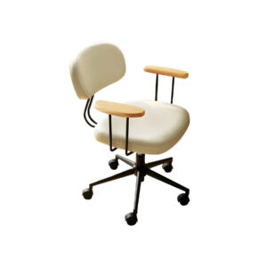 LODZ home office work chair